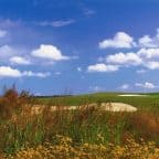 Heron Ridge Golf Club in Virginia Beach