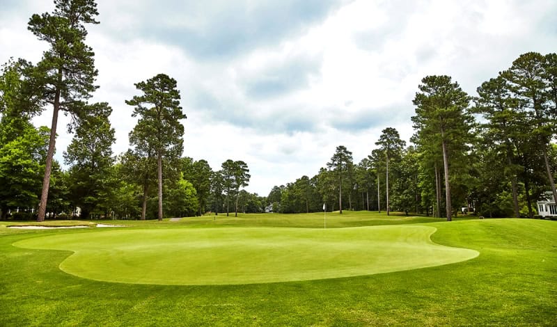 Ford’s Colony Blue Heron