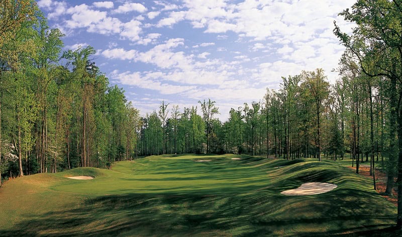 Golden Horseshoe Green Course