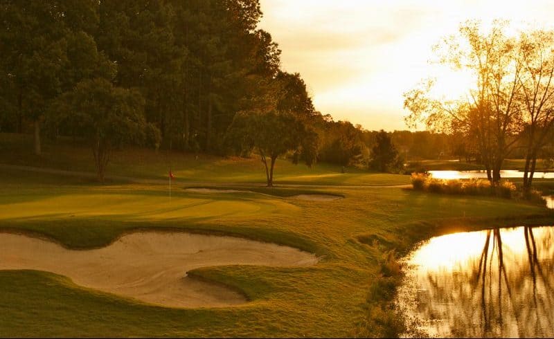 Ford’s Colony Marsh Hawk