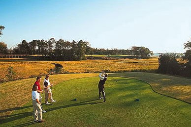 The “Suite Life”