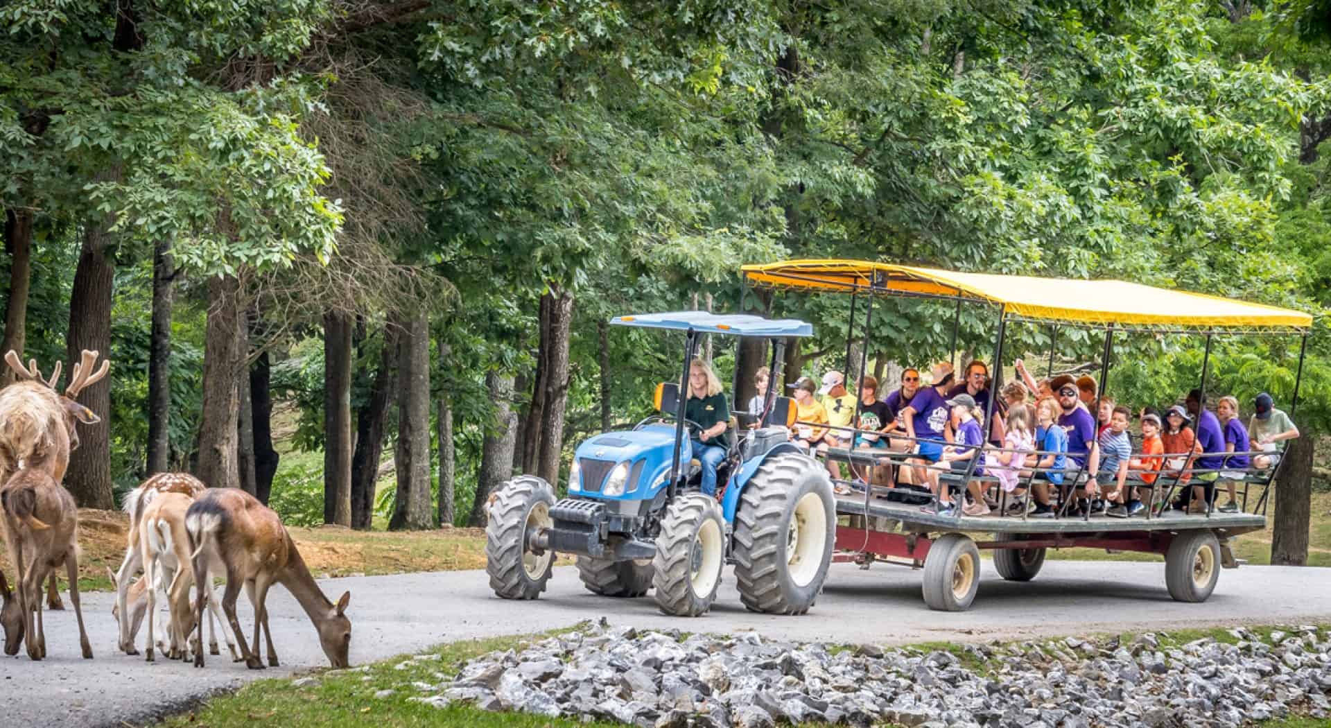 Virginia Safari Park